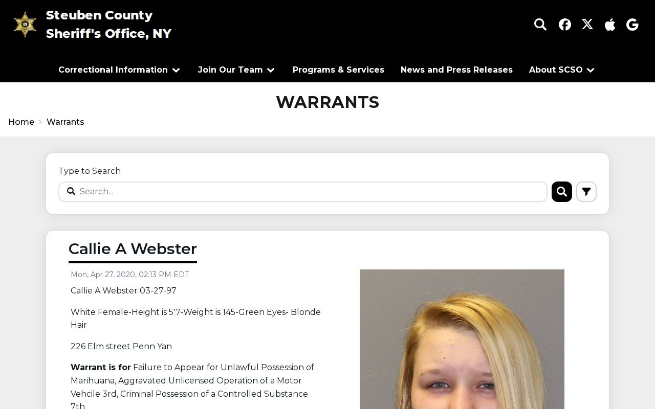 Steuben County criminal warrant search interface from the sheriff